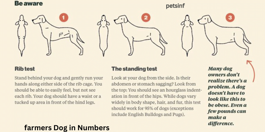 farmers Dog in Numbers