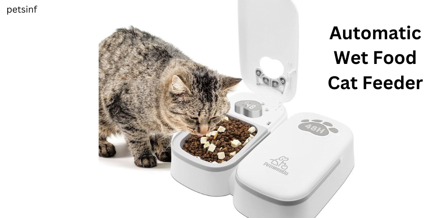 Automatic-Wet-Food-Cat-Feeder