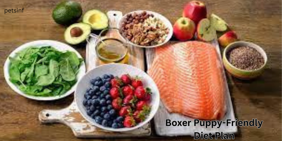 Boxer Puppy-Friendly Diet Plan