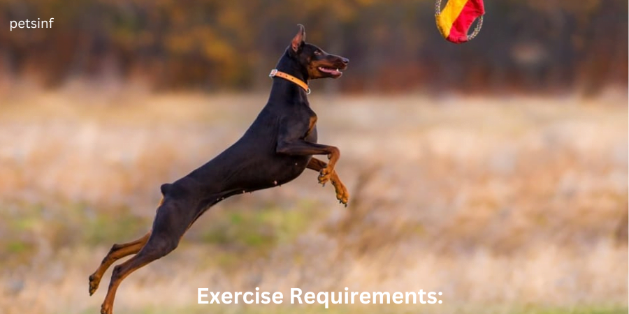 Exercise Requirements: