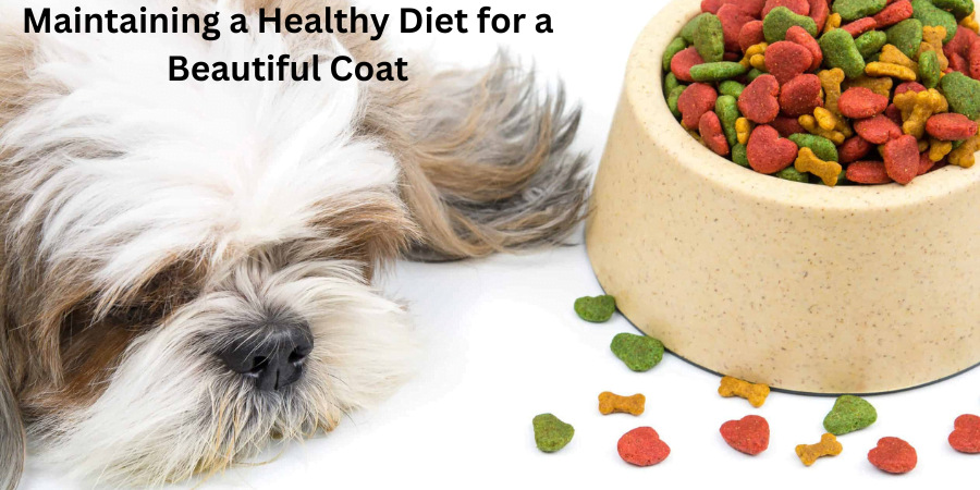 Maintaining a Healthy Diet for a Beautiful Coat