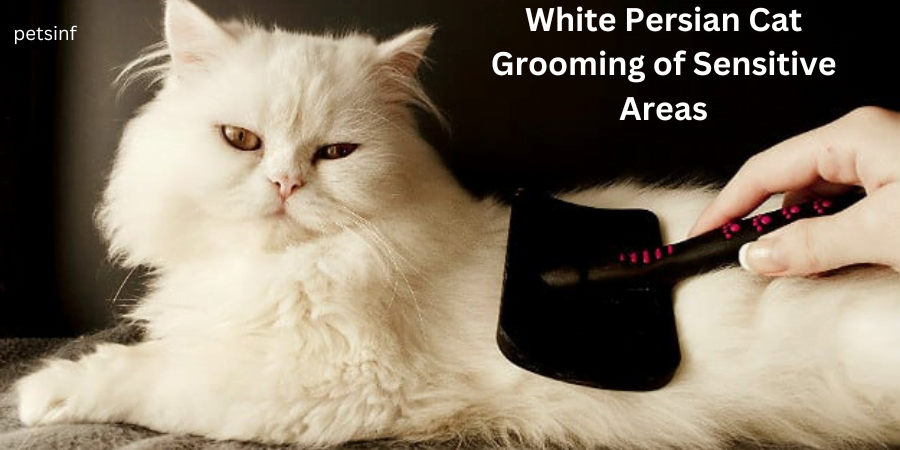 Grooming of Sensitive Areas