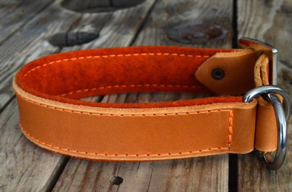 FI DOG COLLAR