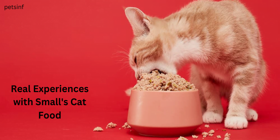 Real Experiences with Small's Cat Food