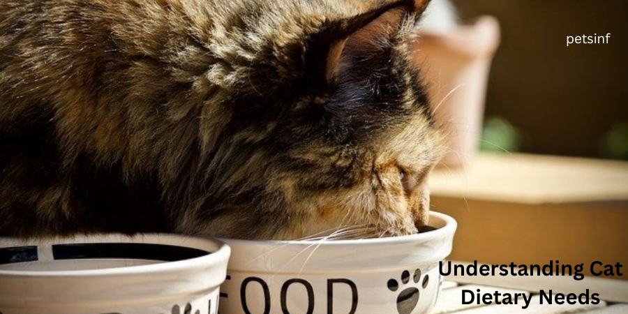 Understanding Cat Dietary Needs: 