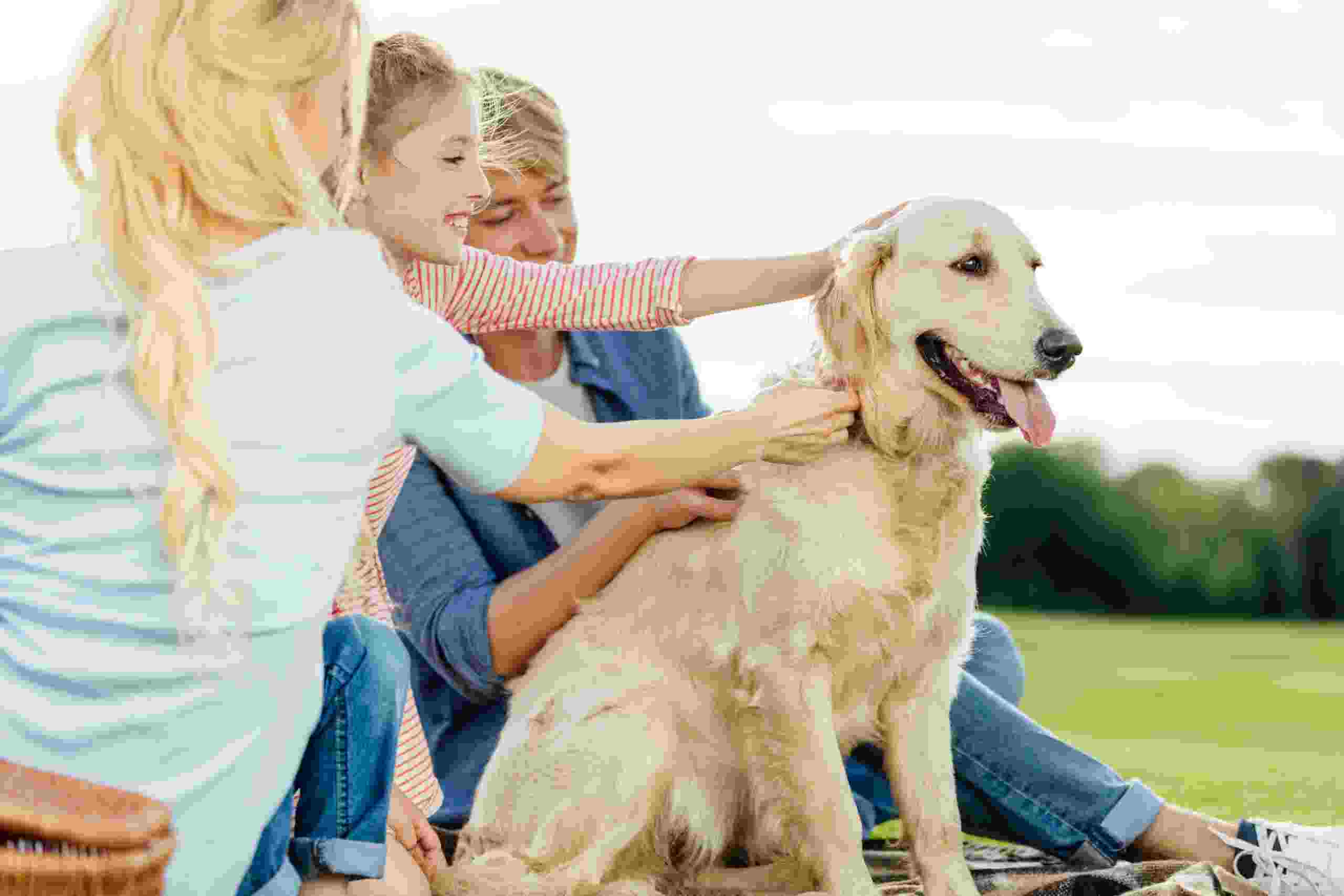 Pet Insurance Industry